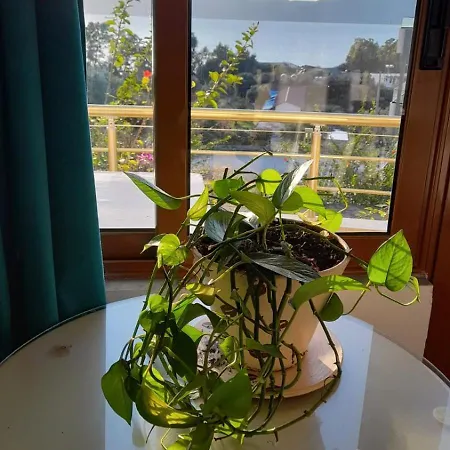 Sirena 4* Vlorë